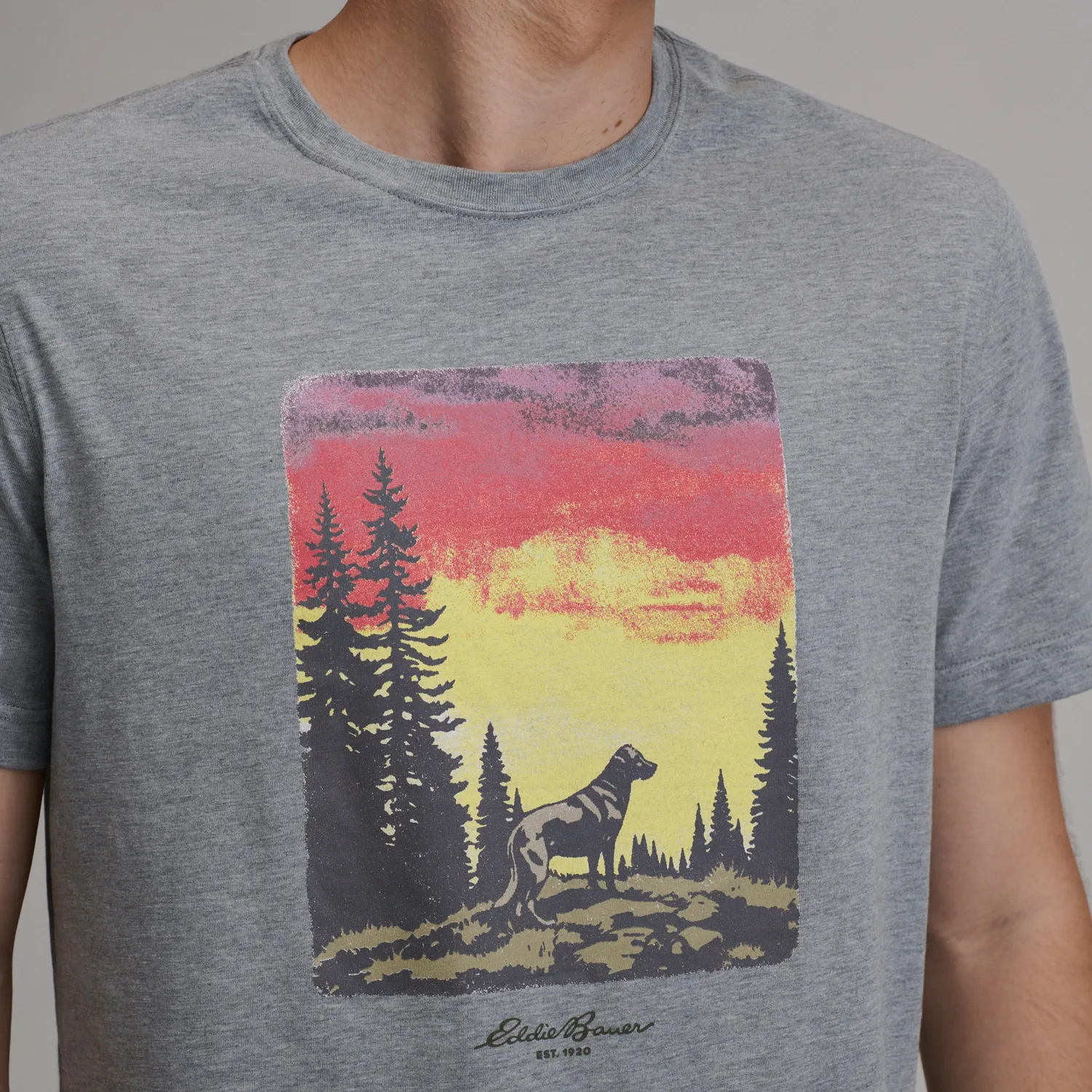 Eddie Bauer EB Dog tricou bumbac gri cu caine
