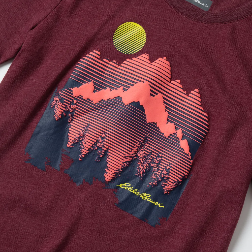 Eddie Bauer Boys Graphic tricou gri bumbac cu imprimeu