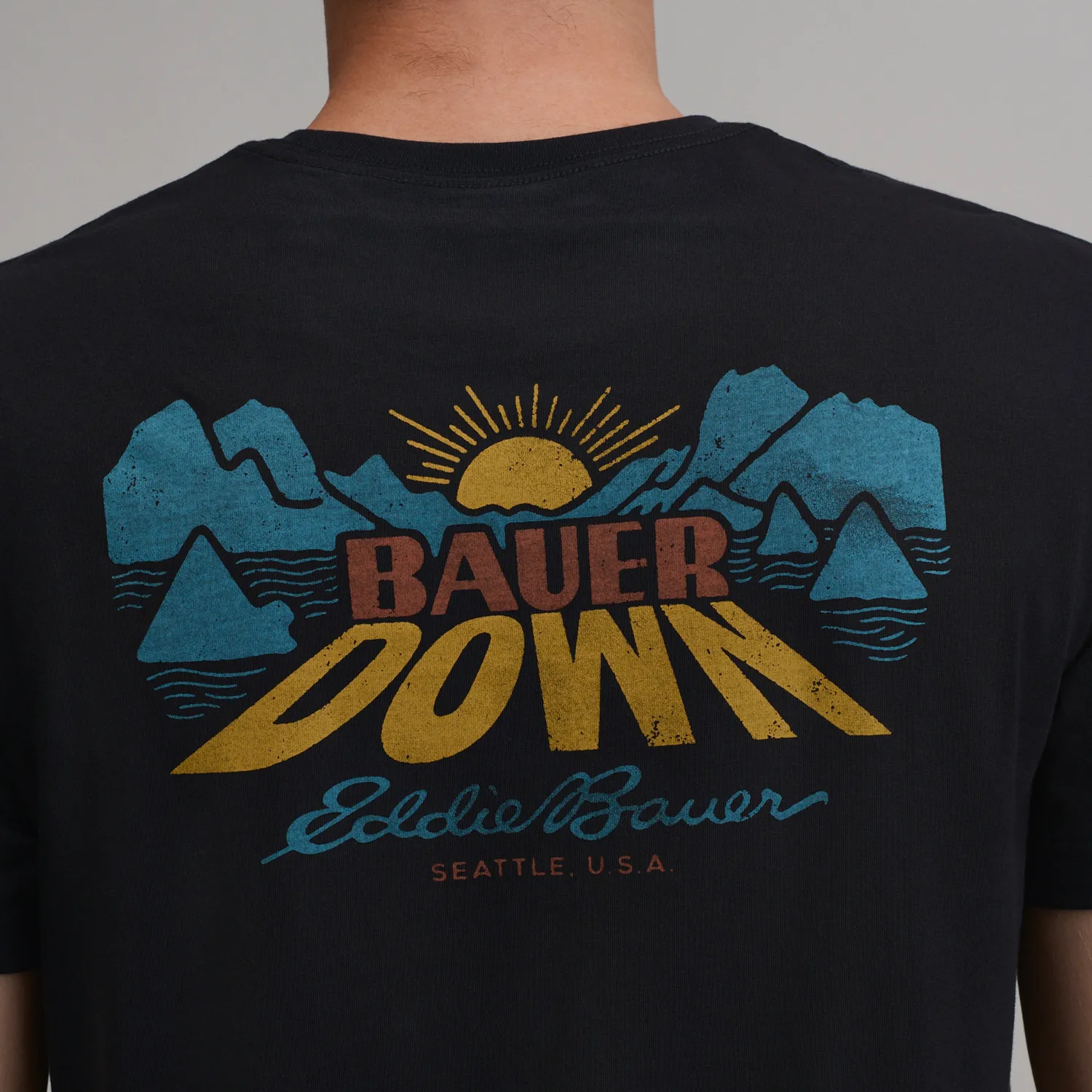 Eddie Bauer Bauer Down T-Shirt tricou barbati Negru bumbac