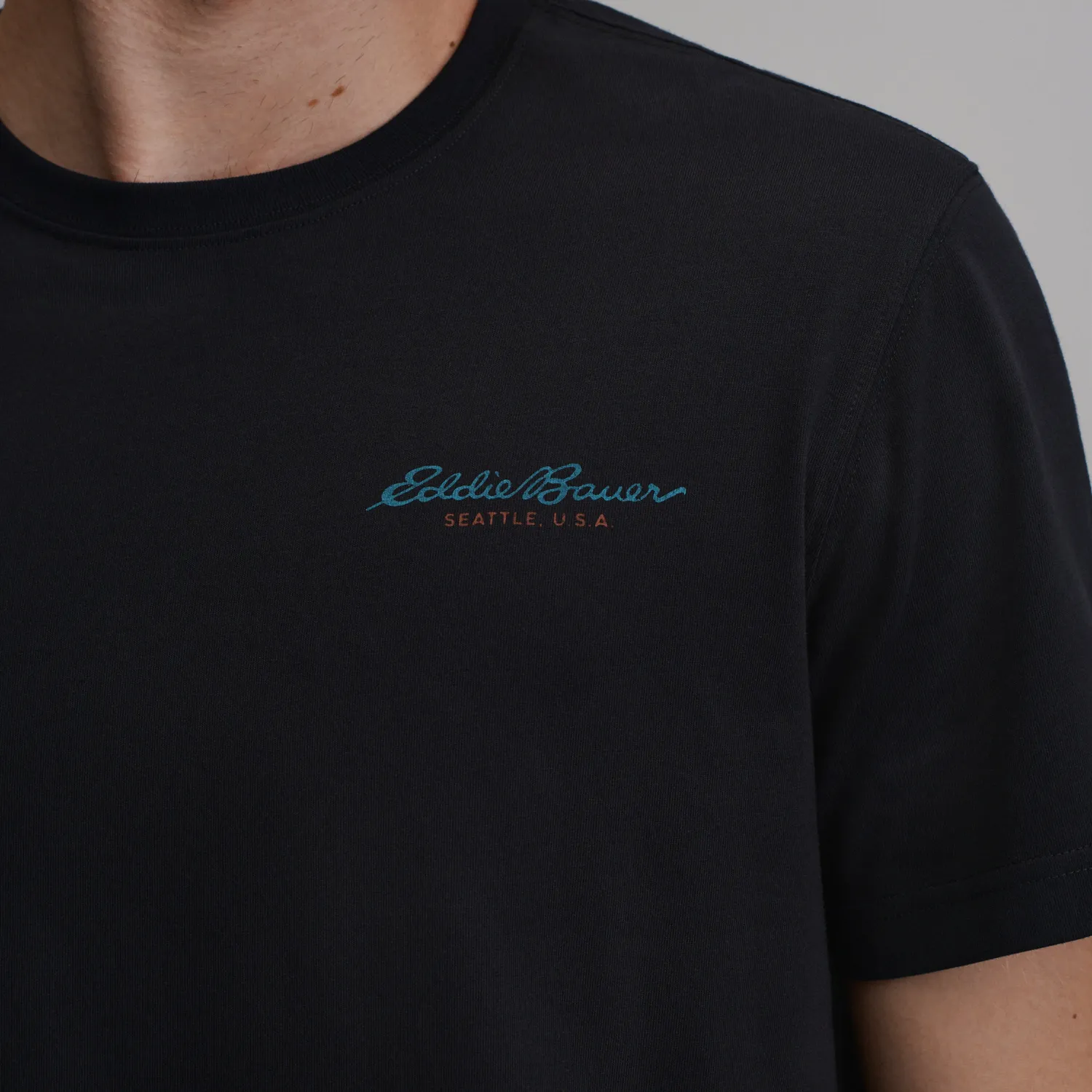 Eddie Bauer Bauer Down T-Shirt tricou barbati Negru bumbac