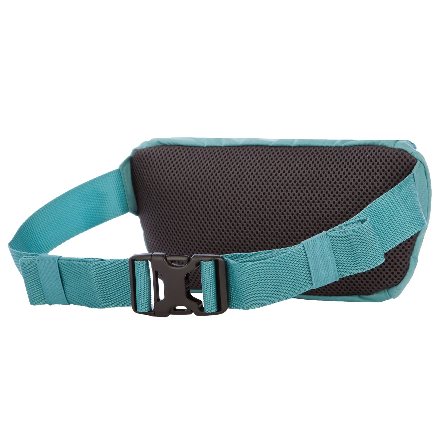 Eddie Bauer 2L Transit Waist Pack borseta Dusty Jade 2L