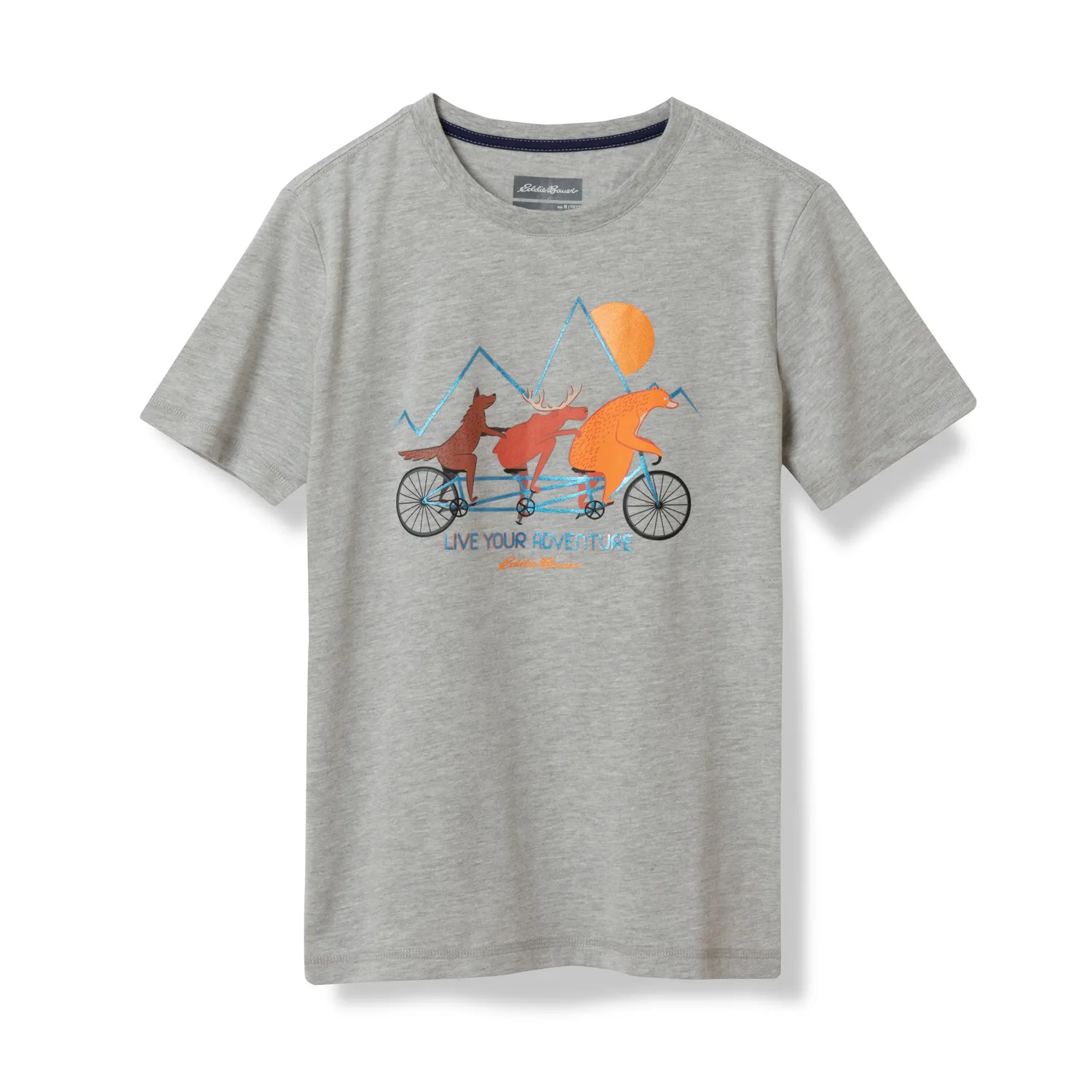 Eddie Bauer Boys Graphic tricou gri bumbac cu imprimeu